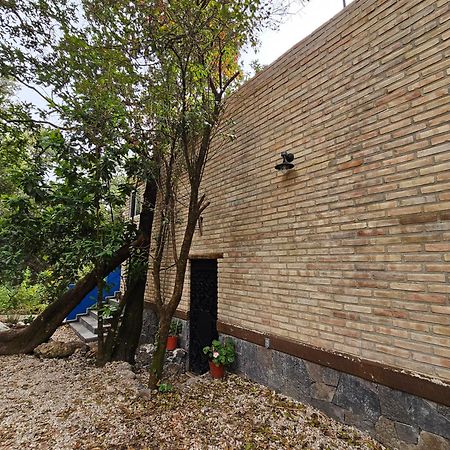 La Cabana Azul Al Fondo Del Bosque De Tepoztlan Ngoại thất bức ảnh