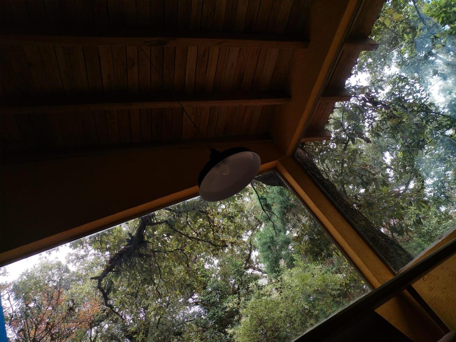 La Cabana Azul Al Fondo Del Bosque De Tepoztlan Ngoại thất bức ảnh