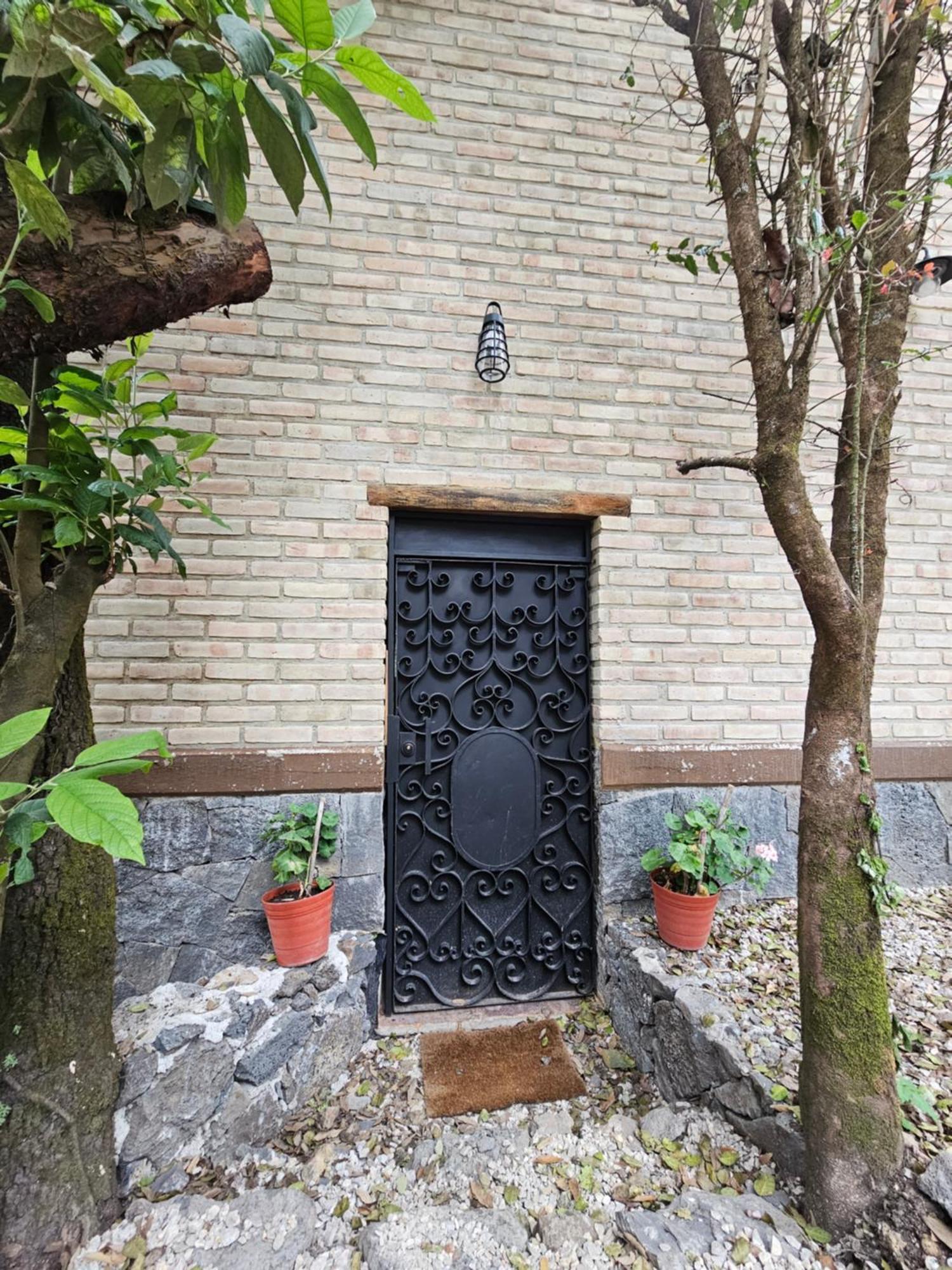 La Cabana Azul Al Fondo Del Bosque De Tepoztlan Ngoại thất bức ảnh